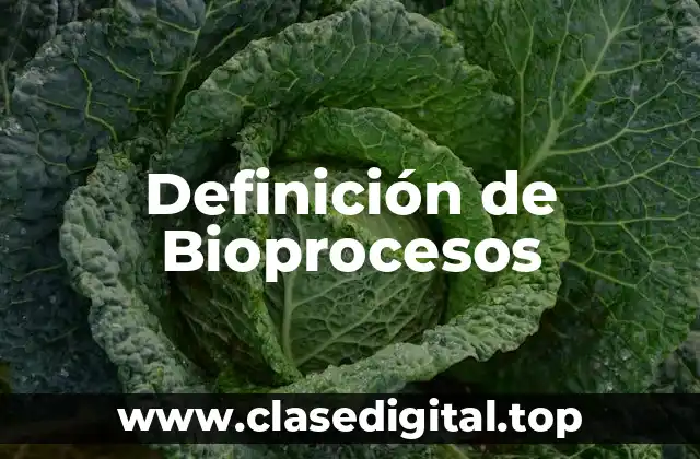Definición de Bioprocesos