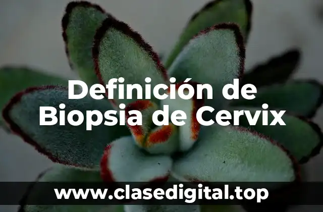 Definición de Biopsia de Cervix