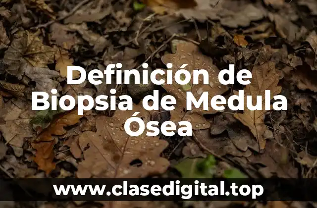 Definición de Biopsia de Medula Ósea