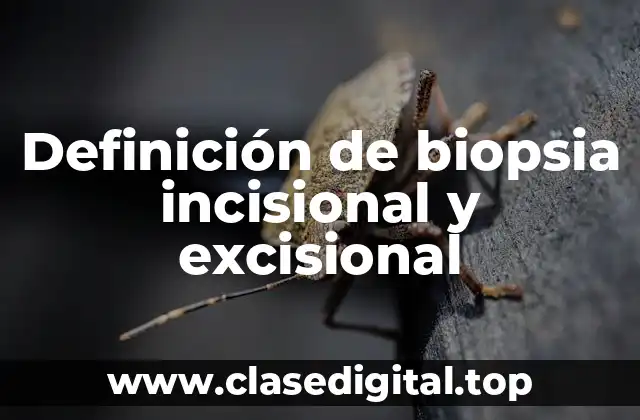 Ejemplos de biopsia incisional y excisional