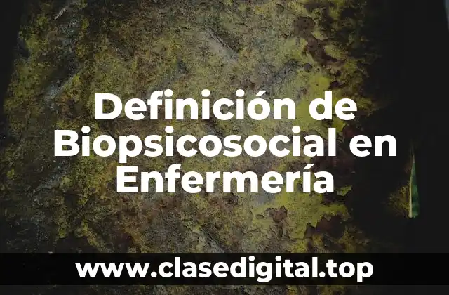 Definición técnica de Biopsicosocialidad en Enfermería