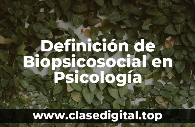 Definición de Biopsicosocial en Psicología