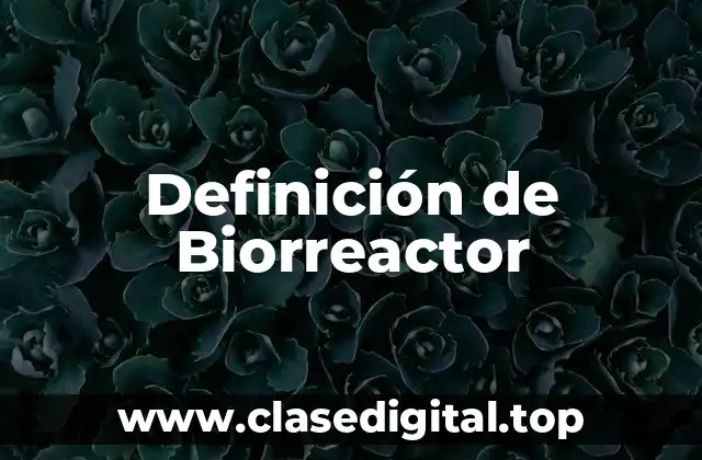 Definición técnica de biorreactor