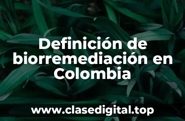 Definición de biorremediación en Colombia