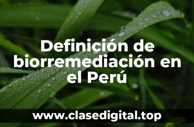 Definición de biorremediación en el Perú