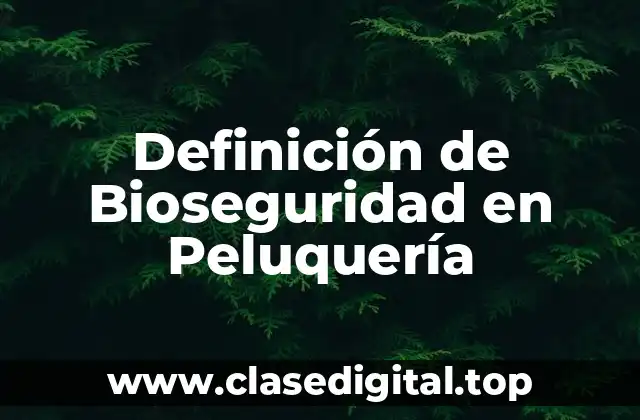 Definición de Bioseguridad en Peluquería