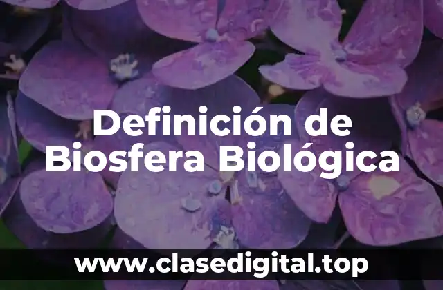 Definición de Biosfera Biológica
