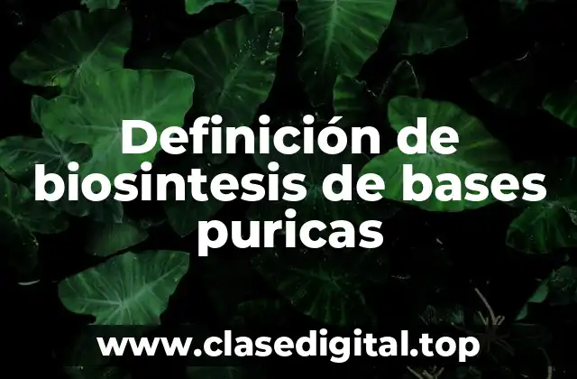 Definición de biosintesis de bases puricas