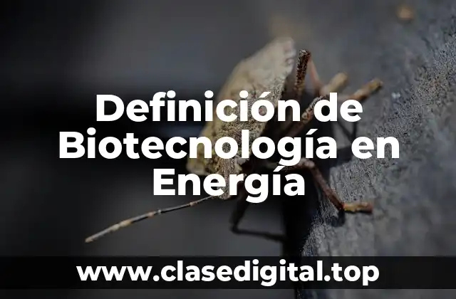 Definición de Biotecnología en Energía