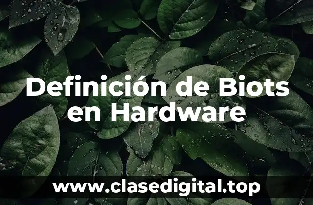 Definición de Biots en Hardware