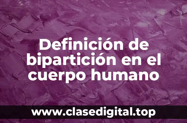 Definición de bipartición en el cuerpo humano