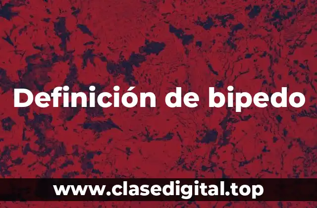 Definición de bipedo