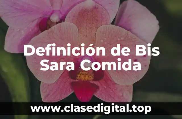 Definición de Bis Sara Comida