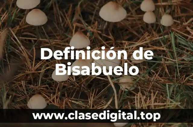 Definición de Bisabuelo