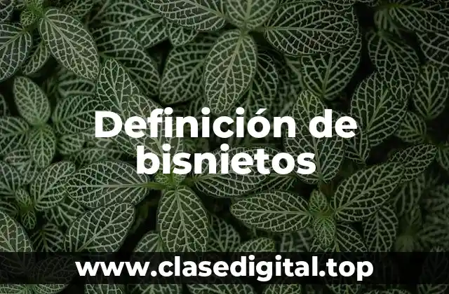 Definición de bisnietos
