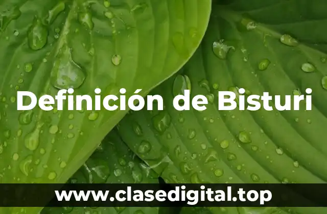 Definición de Bisturi