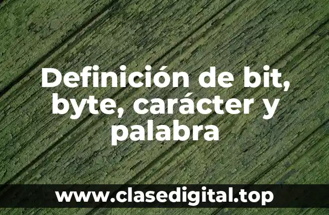 Definición de bit, byte, carácter y palabra