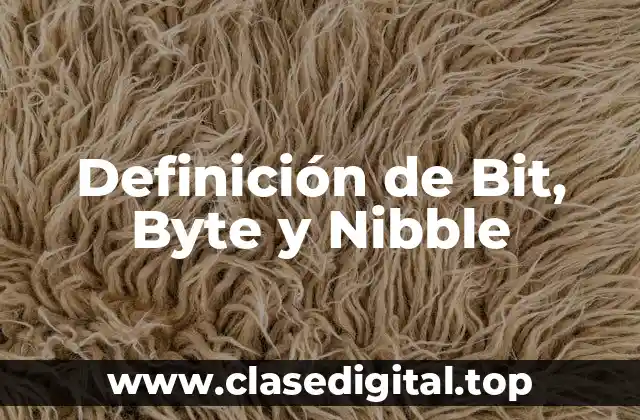 Definición de Bit, Byte y Nibble