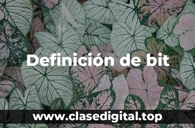 Definición de bit