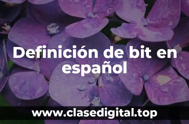 Definición de bit en español