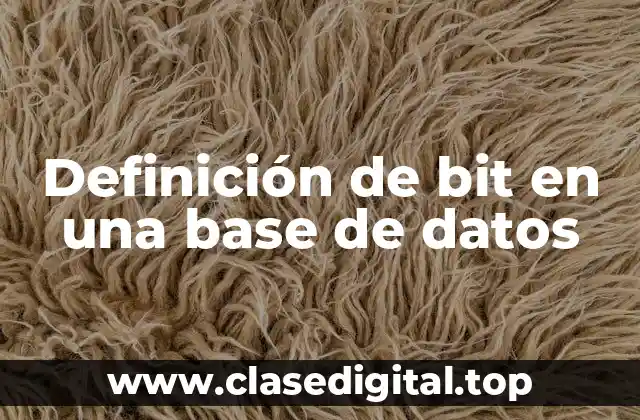 Definición de bit en una base de datos