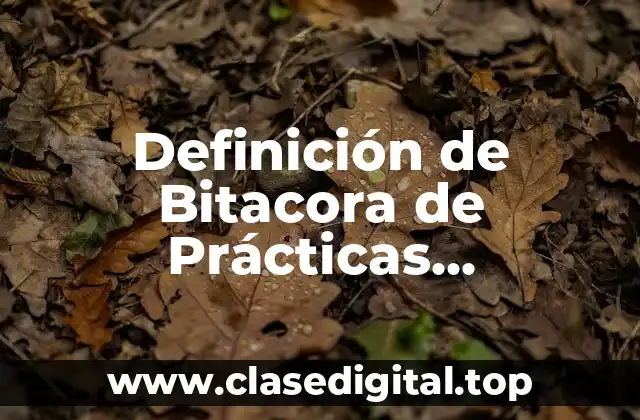 Definición de Bitacora de Prácticas Profesionales