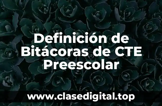 Definición de Bitácoras de CTE Preescolar