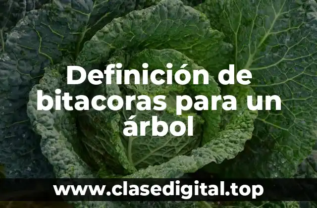 Definición de bitacoras para un árbol