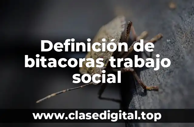 Definición de bitacoras trabajo social