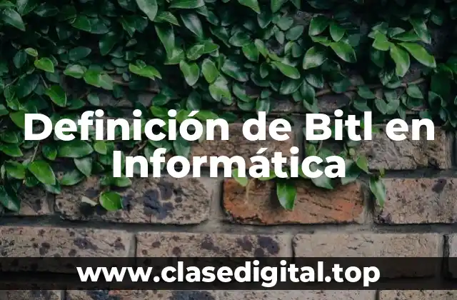 Definición de Bitl en Informática