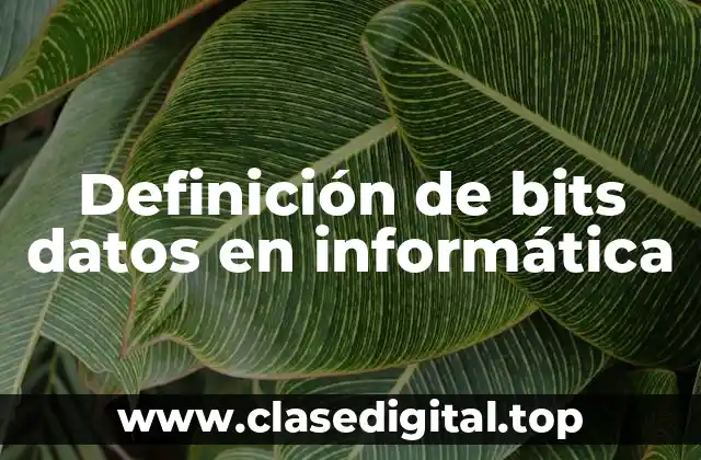 Definición técnica de bit