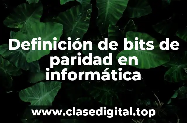 Definición de bits de paridad en informática