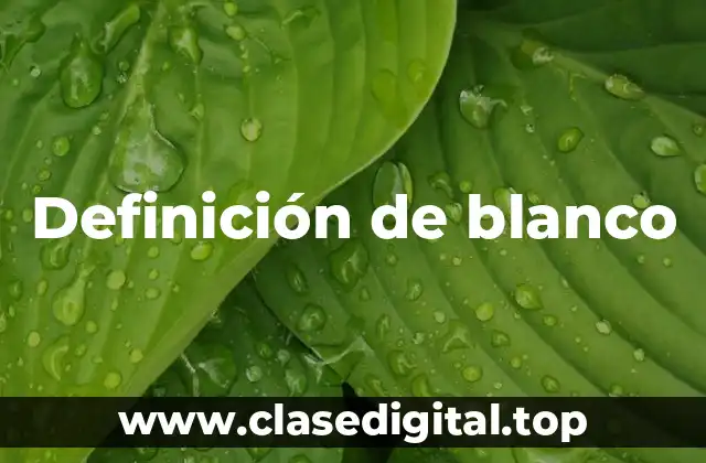 Definición de blanco