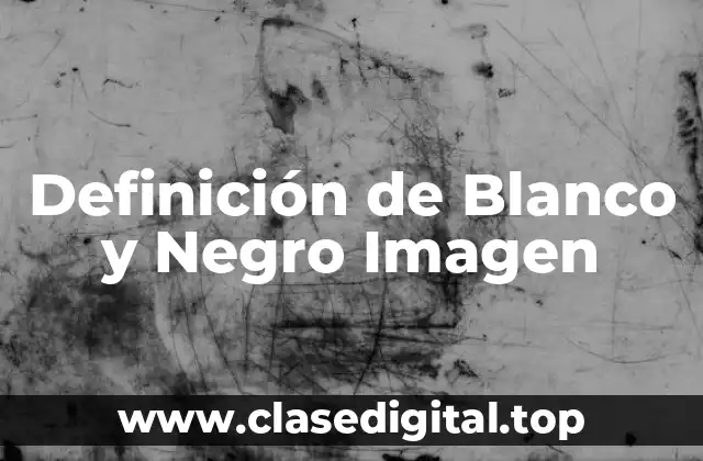 Definición de Blanco y Negro Imagen