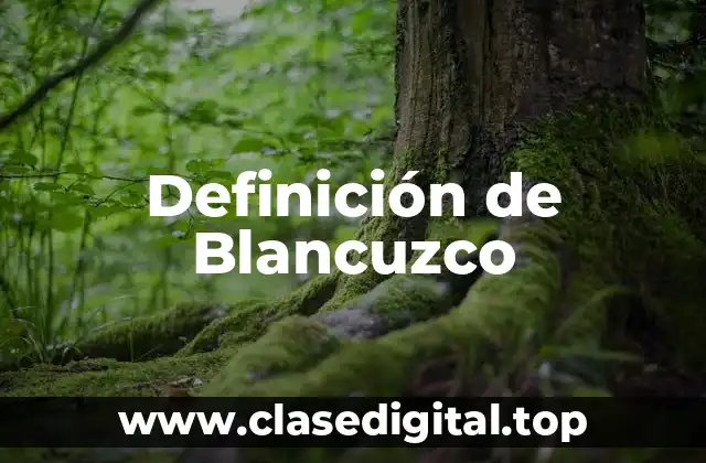 Definición de Blancuzco