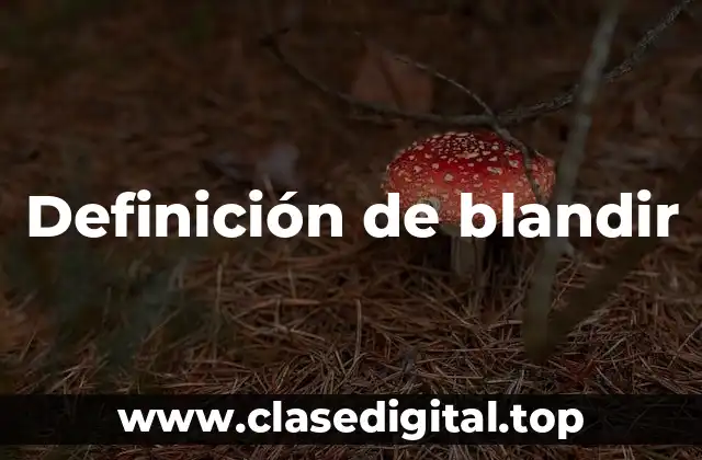 Definición de blandir