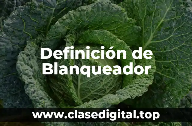 Definición de Blanqueador