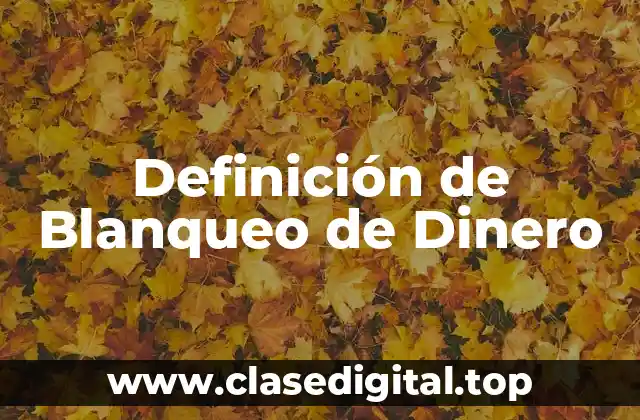 Definición de Blanqueo de Dinero