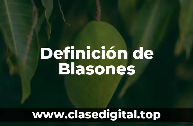 Definición de Blasones