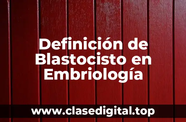 Definición de Blastocisto en Embriología