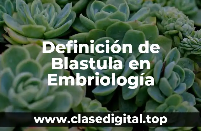 Definición de Blastula en Embriología