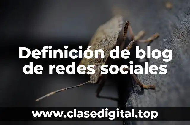 Ejemplos de blog de redes sociales