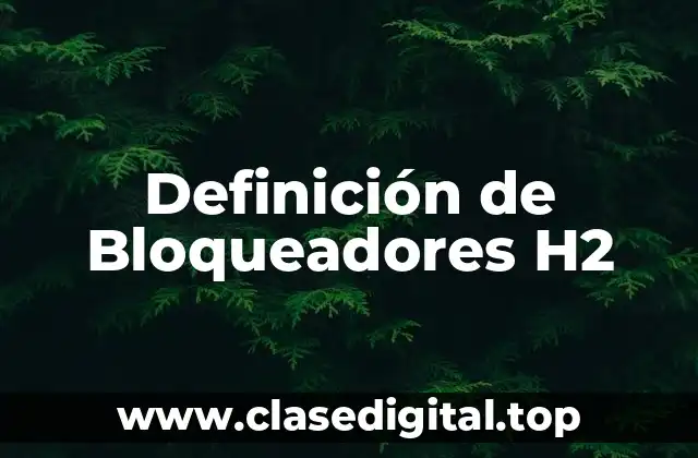 Definición de Bloqueadores H2