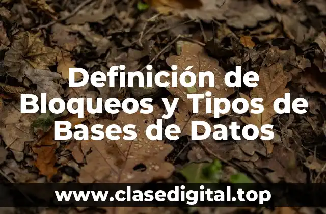Definición de Bloqueos y Tipos de Bases de Datos