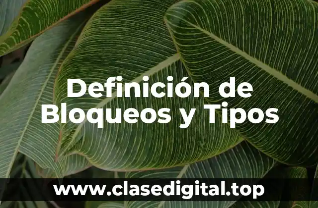 Definición de Bloqueos y Tipos