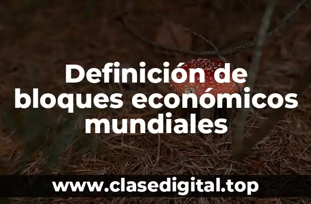 Definición de bloques económicos mundiales