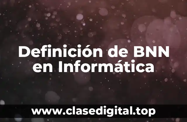 Definición de BNN en Informática