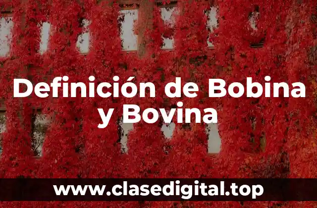 Definición de Bobina y Bovina