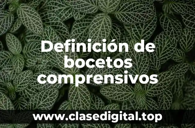 Definición de bocetos comprensivos