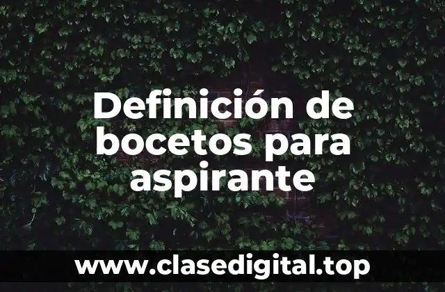 Definición de bocetos para aspirante
